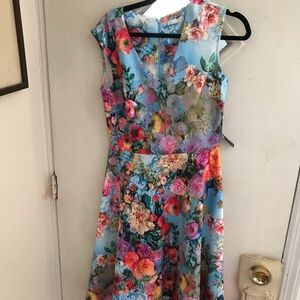 New York & Company Floral Print dress in Blue and Pink